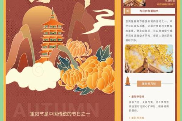 重阳节：登高赏菊，养生与敬老并行