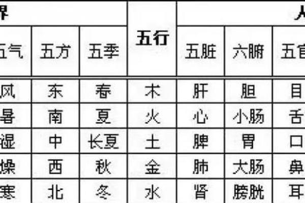 53年五行属什么？性格解析：如何通过五行改变格局