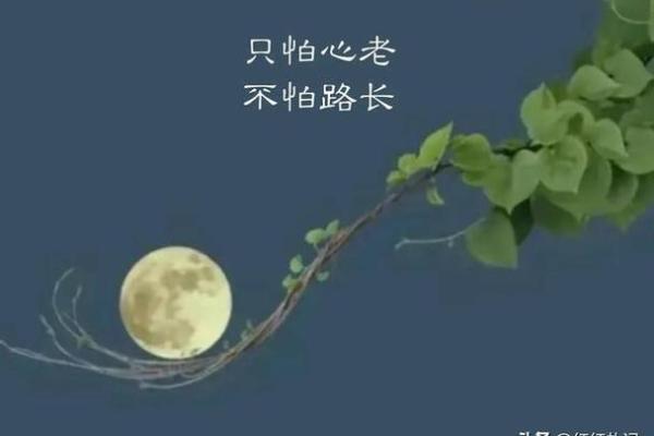 命运真相大曝光：命理分析师教你如何破除常见误区
