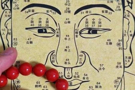 眉毛面相背后的秘密，改变命运的关键在哪里