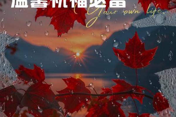 圣诞节：在节日的光辉中，感悟爱的文化传递