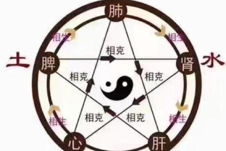 五行格局中的属土性格：揭秘你的性格密码，如何优化人生？