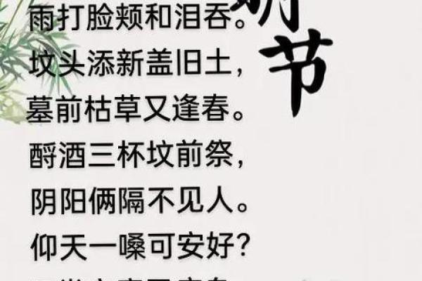 四月：清明祭祖，踏青祭祀感悟生命