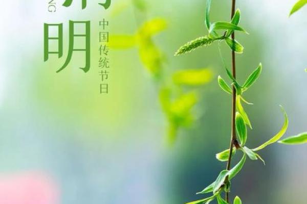 四月：清明祭祖，踏青祭祀感悟生命