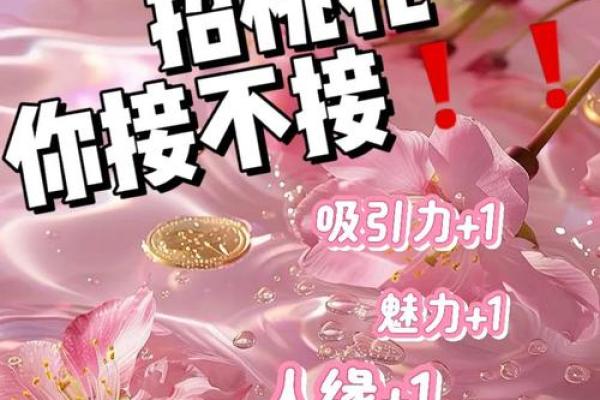 桃花运中的命运密码：如何打破常规改变未来