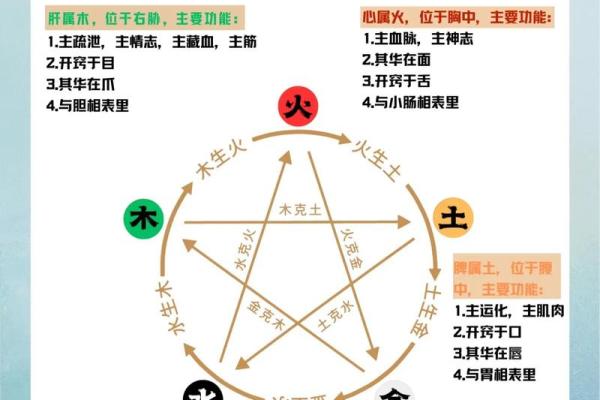 子水性格解析：五行格局中的神秘力量，你掌握了吗？
