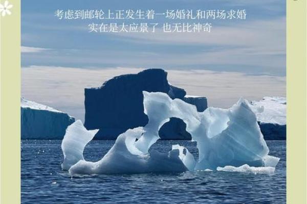 南极日，保护冰雪家园，守护全球气候