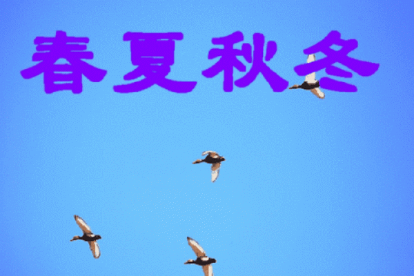 仲字五行格局探秘：如何通过性格解析改变人生？揭秘