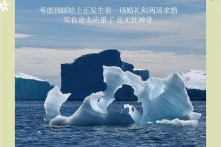 南极日，保护冰雪家园，守护全球气候