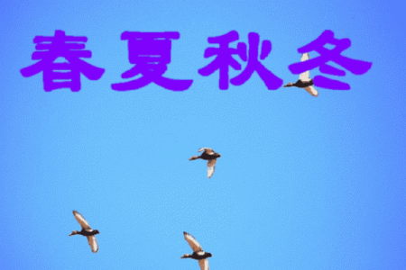 仲字五行格局探秘：如何通过性格解析改变人生？揭秘