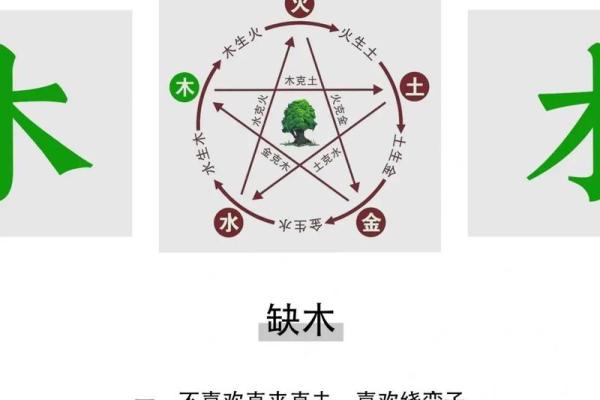 五行性格颠覆性解析：揭秘性格背后的深层秘密
