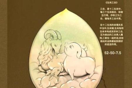 如何改变五行格局？解锁婚配幸福密码，提升感情运势