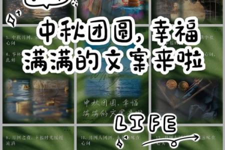 中秋：月圆人团圆，探寻中秋节的文化意义