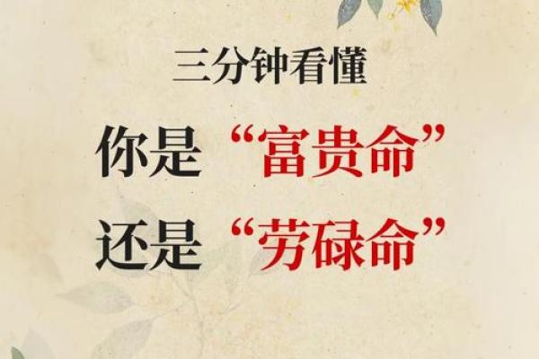 揭开命运密码，八字中隐藏的财富与机遇