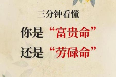 揭开命运密码，八字中隐藏的财富与机遇