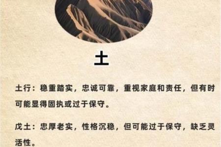 颠覆传统认知属金字眼的秘密，揭秘五行格局中的性格误区与突破之道