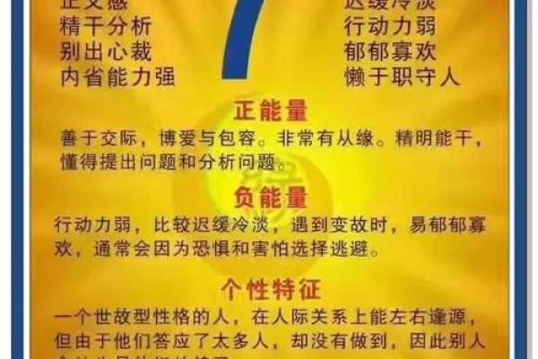 五行格局揭秘：塑料如何影响你的性格解析？
