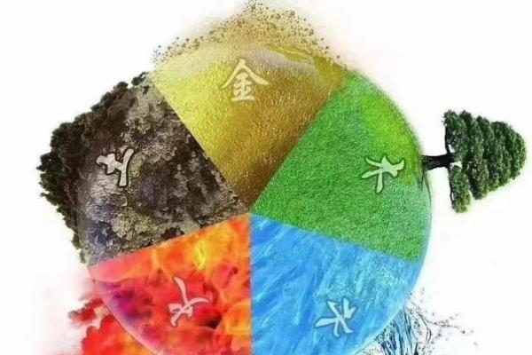 董的五行性格解析：摆脱误区，发掘你的内在潜能