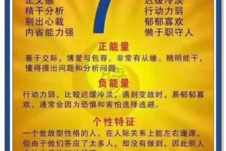 五行格局揭秘：塑料如何影响你的性格解析？