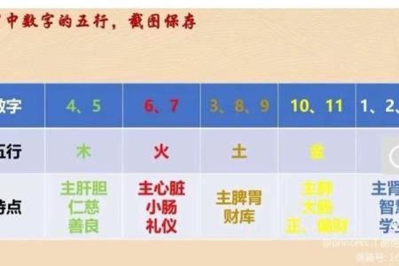 珊在五行格局：揭秘性格解析，如何改变命运？