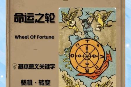 命理纸牌的秘密，如何破解命运中的那些误区