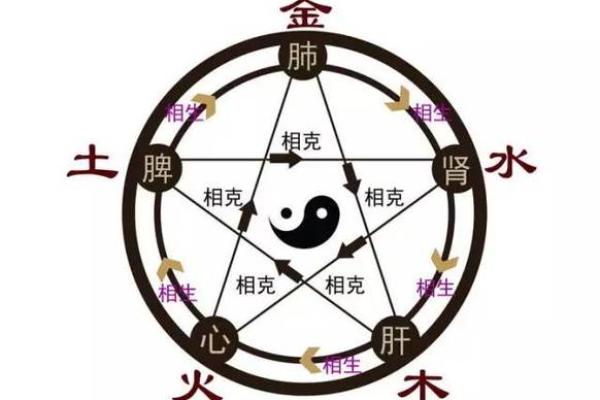 朋字五行格局揭秘：如何洞察你的社交五行性格解析