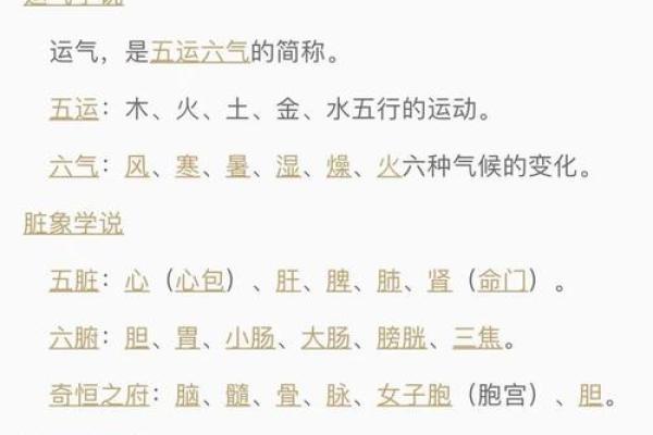 五行格局实用指南：如何找到你的最佳发展路径