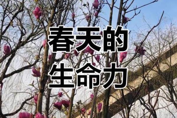 复活节：宗教与春天的庆典，感受生命的复苏