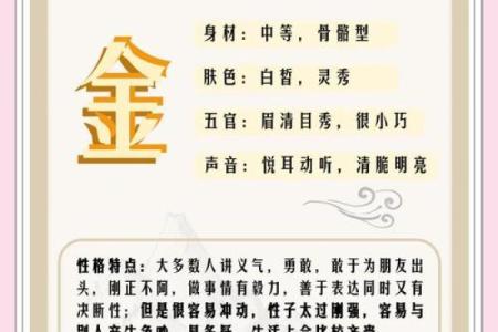 如何改变？维的五行属性误区大揭秘，颠覆传统认知