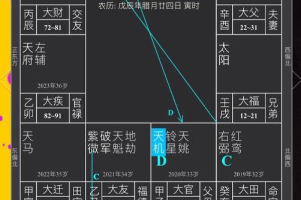 薇的五行格局探微：性格解析与如何改变，开启潜能之旅