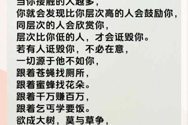 如何改变：破译子时五行格局，重塑人生格局之道