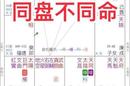 薇的五行格局探微：性格解析与如何改变，开启潜能之旅