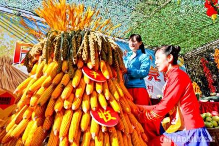 侗族年：欢庆丰收，感受侗族习俗