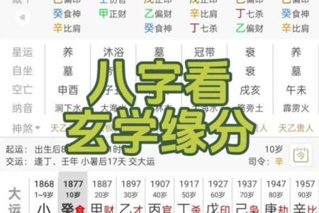 八字揭示暗藏玄机：你的命运姻缘早已注定？