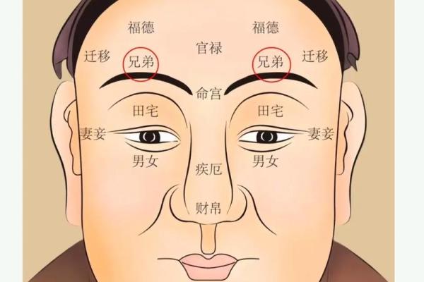 实用指南：如何通过眉毛五行格局，调整你的性格与命运？