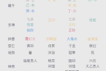 陈晓命理揭秘：八字中的命运密码，你能发现吗？