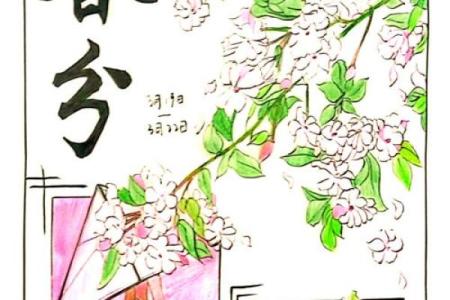 春分：感受日本春天的自然魅力，品味传统节气习俗