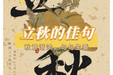 立秋：秋风送爽，享受丰收与清凉