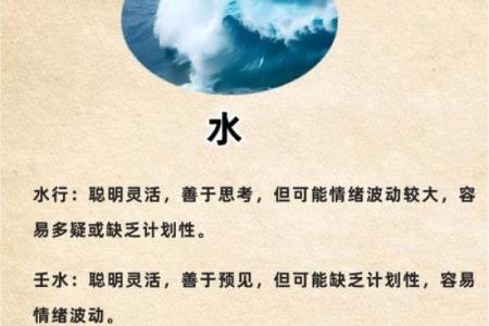 性格解析：佳的五行特质，解锁你的潜在优势