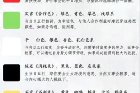 颠覆传统认知：芳五行属性如何帮助你找到最佳性格发展方向？