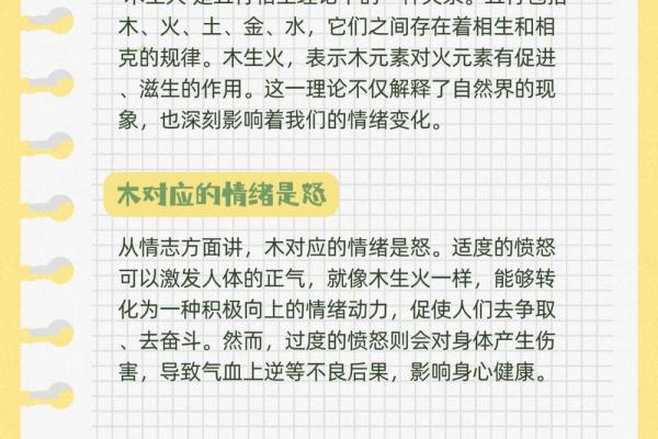 性格解析新视角：五行格局如何影响你的命运？