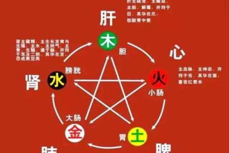 悦字五行奥秘：性格解析新视角，揭秘你的五行格局误区与改变之道
