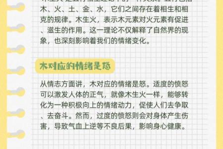 性格解析新视角：五行格局如何影响你的命运？