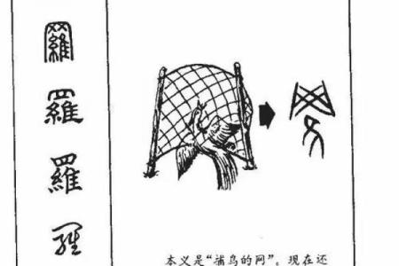 如何改变命运？从了解佳字的五行属性开始