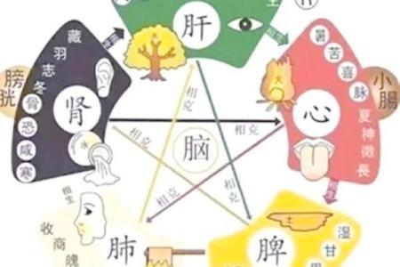 五行格局如何影响你的人生？揭秘性格解析中的实用改变之道