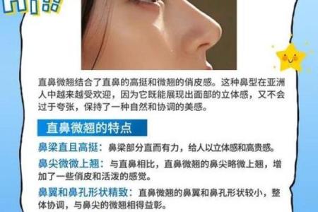 鼻子命理误区：改变命运从正确的鼻型开始