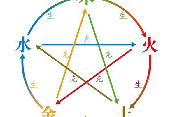 燕子五行属何？揭秘五行格局下的性格特质与改变之道
