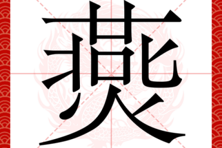 燕子五行属何？揭秘五行格局下的性格特质与改变之道