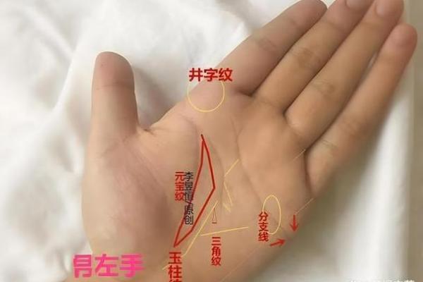 马天宇命理揭秘：如何通过八字破解命运玄机，反而走向成功？