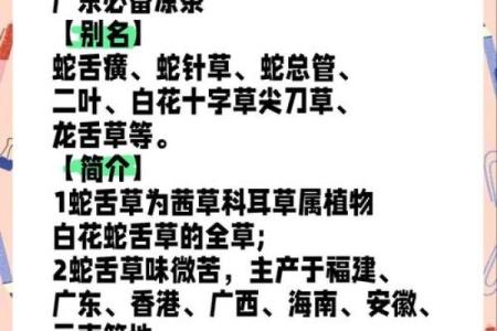 蛇的节日：养生秘方，蛇与健康的奇妙联系